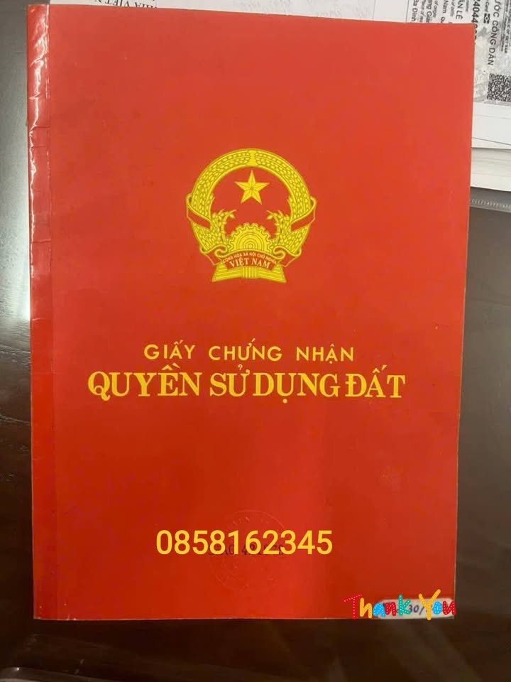 Nhà Mặt Tiền Kinh Doanh 50m², 8 Tầng, 16.x Tỷ, Trung Tâm Thanh Xuân