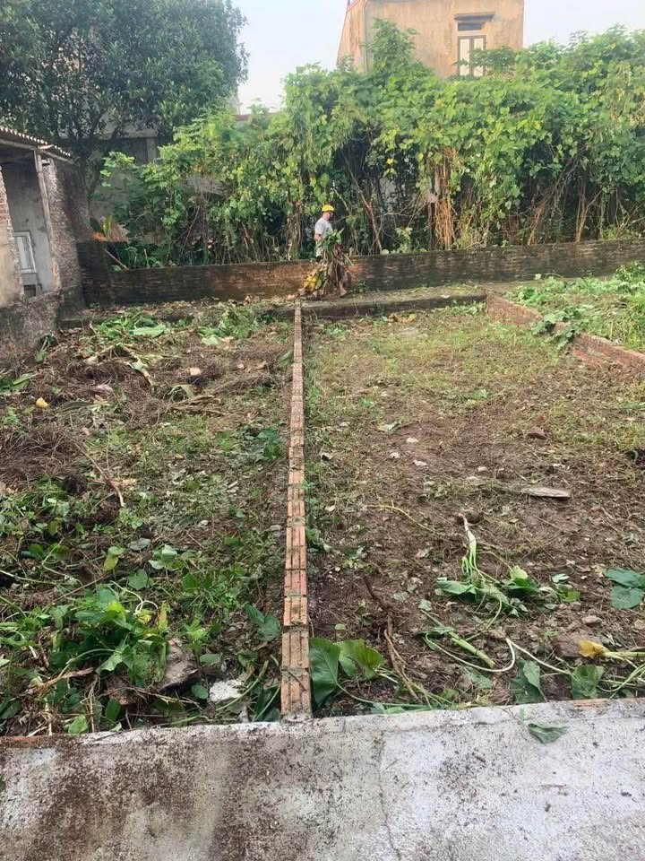 Bán Đất 45m² Sổ Đỏ Xã Đông Mỹ, Thanh Trì - Gần Trường C3