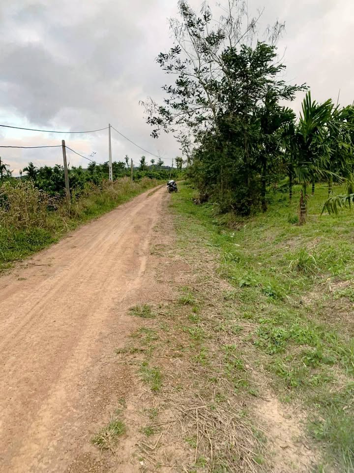 Bán Gấp 7.2 Sào Đất Vườn Ea Ning, Đắk Lắk - Giá Tốt 1.26 Tỷ