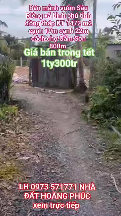 Đất vườn Cai Lậy 1472m² giá 1.3 tỷ - Đầu tư dài hạn, sinh lời bền vững!