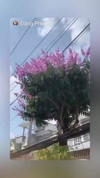 Nhà phố Thái Sanh Hạnh, Mỹ Tho 71.4m² - Mặt tiền kinh doanh hiệu quả!