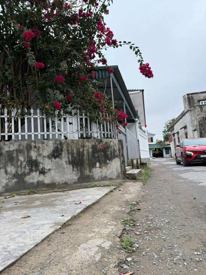 Đất nền Nam Thắng, Tiền Hải 100m² - Sổ đỏ chính chủ, Tiềm năng tăng giá!