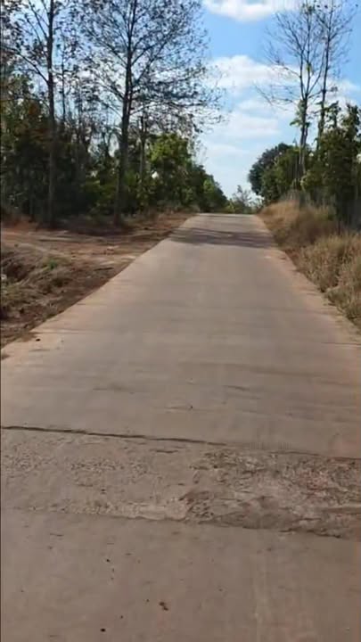 Bán Gấp Farm 5ha Đắk Lắk - 3500 Cây Ca Cao Cho Thu Hoạch