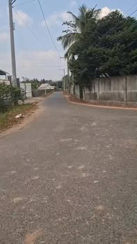 Bán Gấp Đất Vườn 8976m² Mặt Tiền Đường Nhựa Tân Biên, Tây Ninh - 3 Tỷ