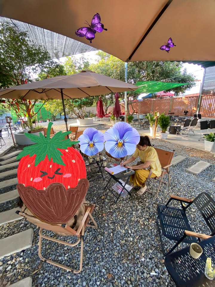 Đất nền Thị xã Hòa Thành 116m² giá chỉ 6xx triệu - Sổ đỏ chính chủ, tặng nhà!