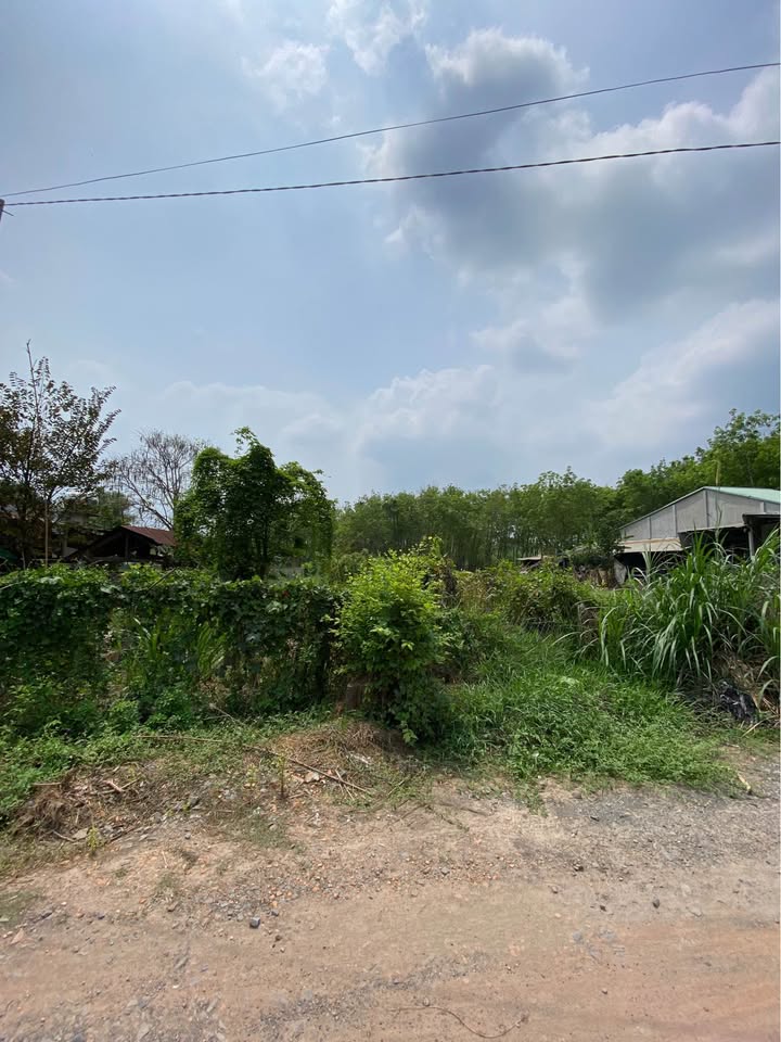 Bán Đất Nền 350m² Lộc Vĩnh, Trảng Bàng - Sổ Hồng Thổ Cư, Giá 750 Triệu