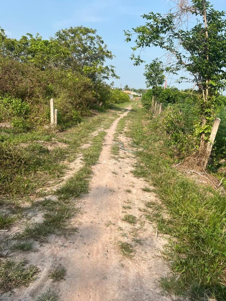 Đất nền Long Hoa 360m² giá 700 triệu - Pháp lý rõ ràng