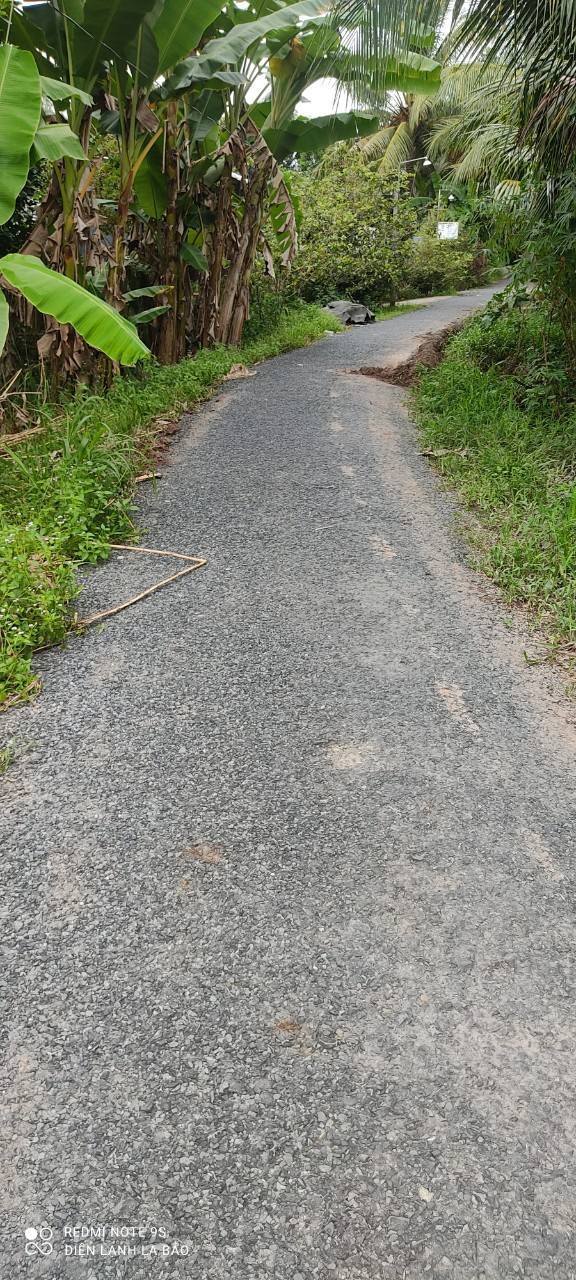 Đất Nền Vĩnh Long 115m² Thổ Cư - View Sông, Lộ Nhựa Ô Tô