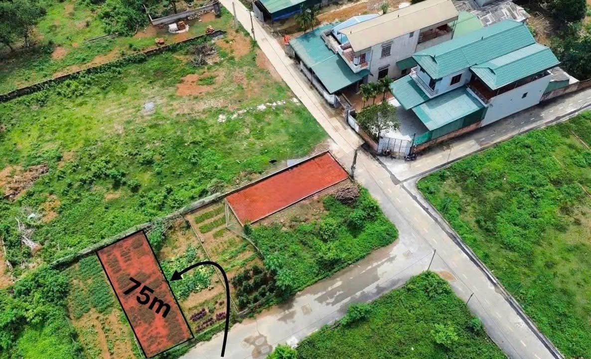 Đất nền 75m² Hạ Bằng, Thạch Thất - Sổ đỏ chính chủ, tiềm năng tăng giá!