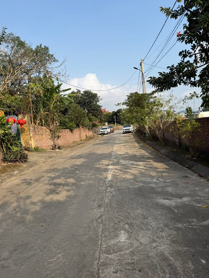 Đất nền Chí Linh 462m² - Tiềm năng tăng giá!