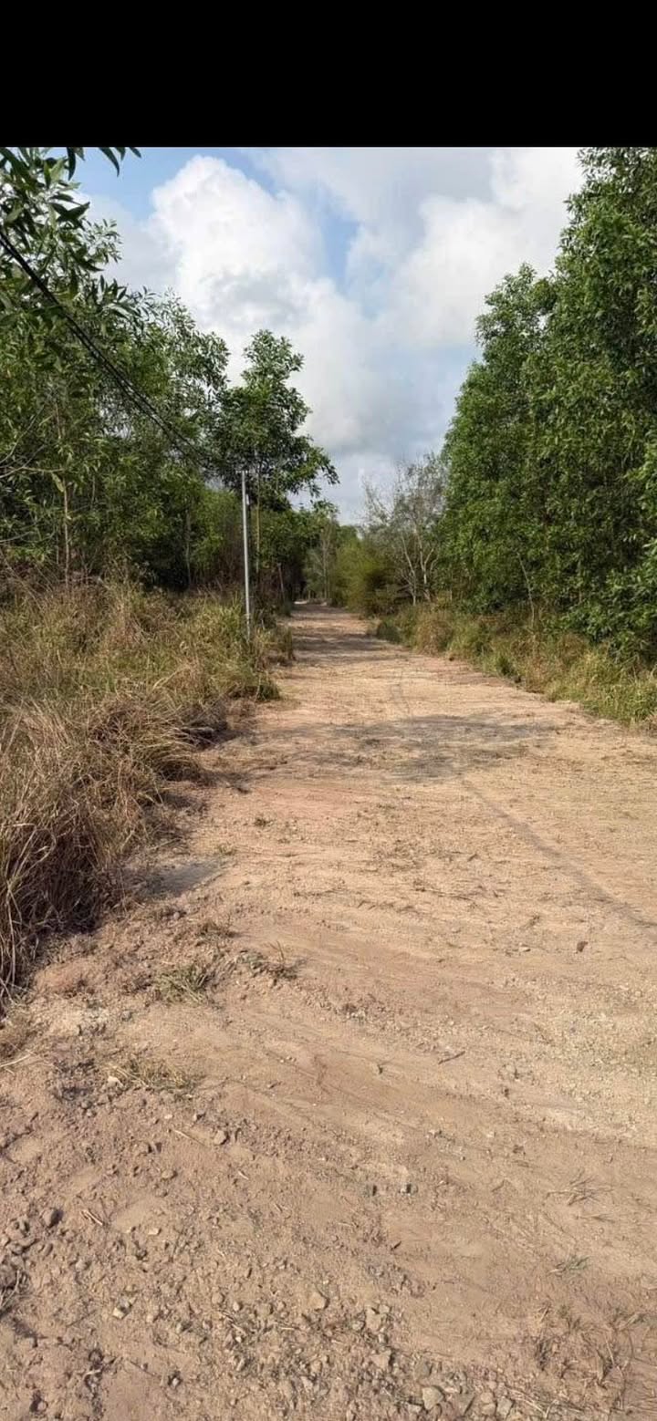 Đất nền Vĩnh Thanh, Đồng Nai - 149m² Sổ hồng riêng, Giá F0 chỉ 420 triệu