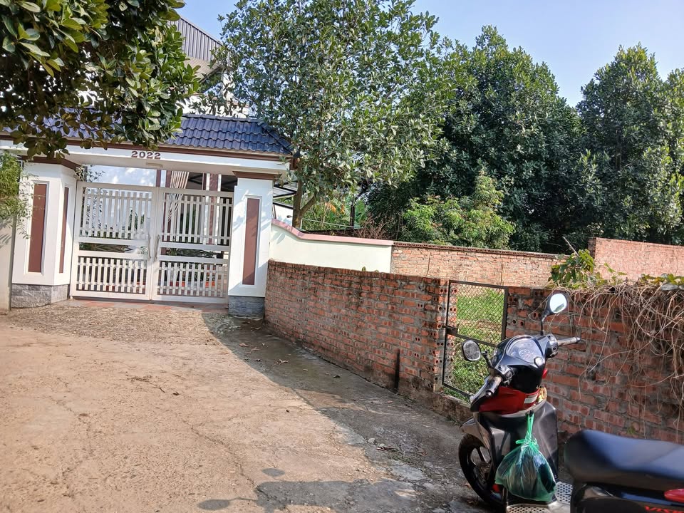 Đất nền Việt Trì 102m² giá 1 tỷ - Đất thổ cư 100%!