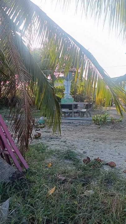 Đất nền Thôn Vạn Phước 900m² - Pháp lý rõ ràng, bao sổ!