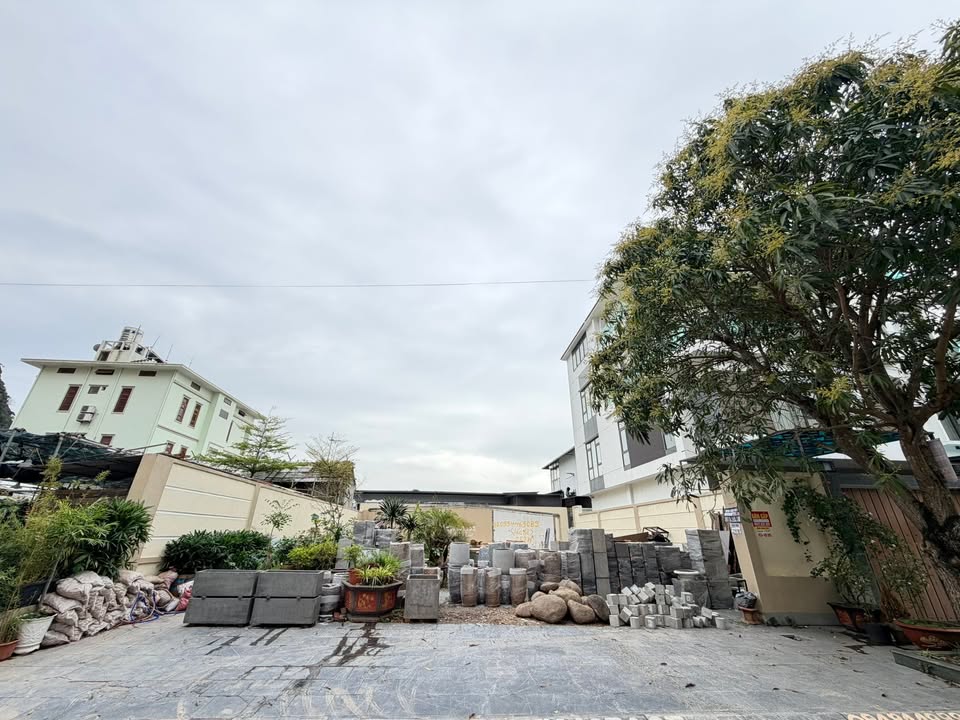 Đất biệt thự Hạ Long 252m² giá 4x tỷ - Tiềm năng tăng giá!