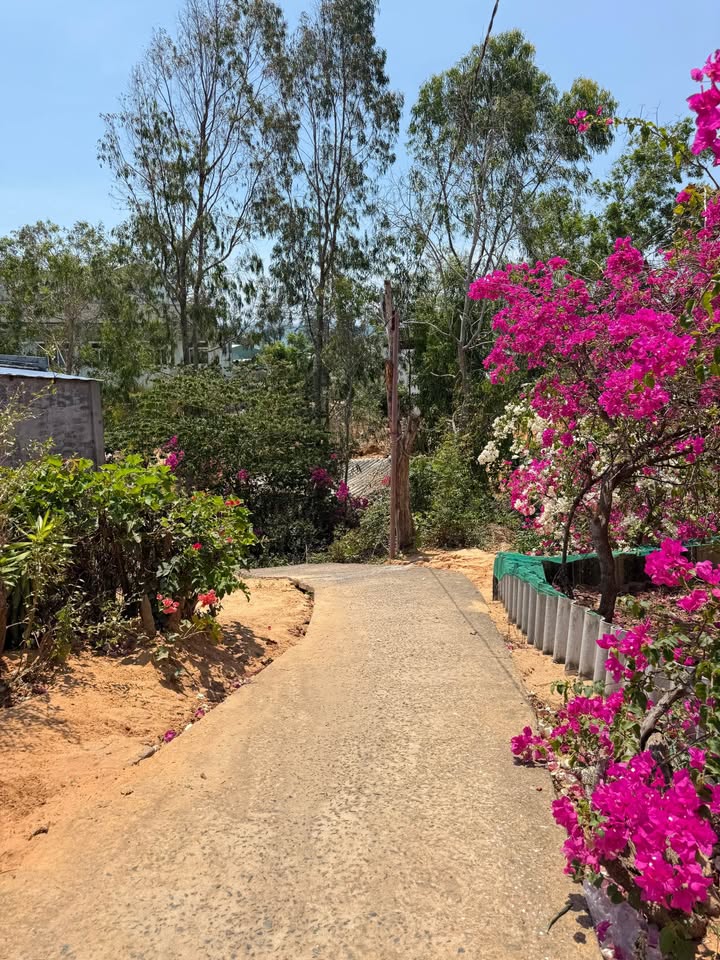 Đất nền Lạc Long Quân, Tiến Thành 234m² - Tiềm năng tăng giá vượt trội!