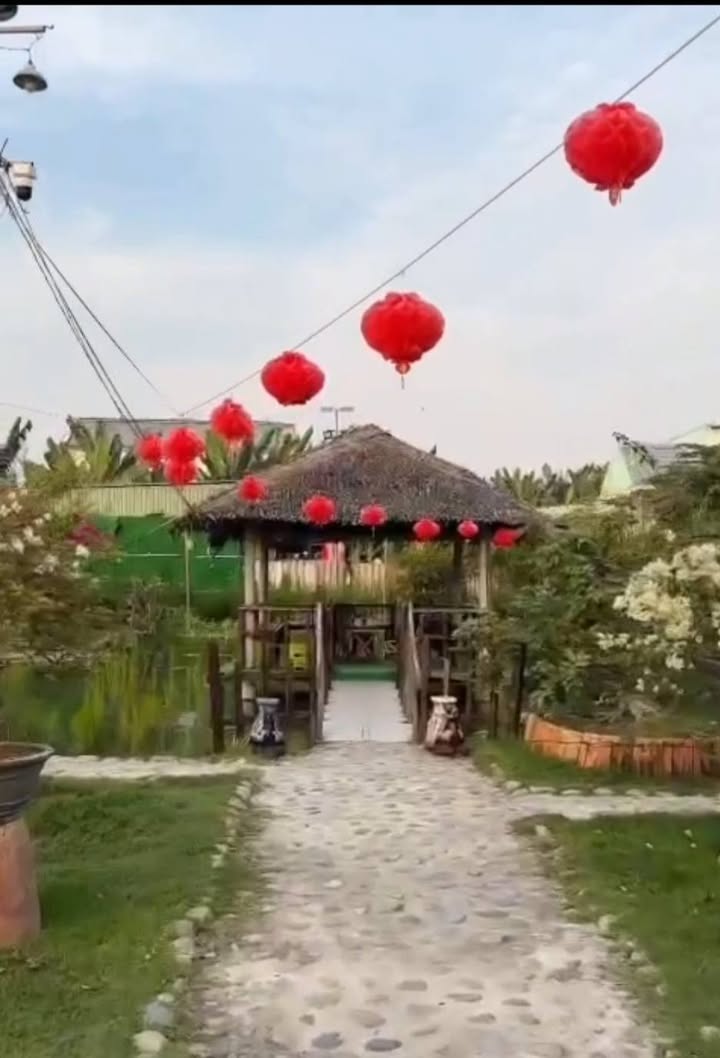 Bán Gấp Farm Kinh Doanh 3700m² Mặt Tiền Đường Huyện 70, Vĩnh Long