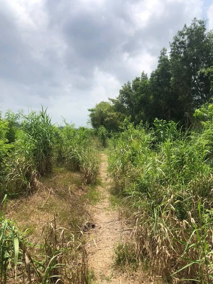 Đất Vườn 2200m² Xã Định Môn, Cần Thơ - Giá Đầu Tư 2.5 Tỷ