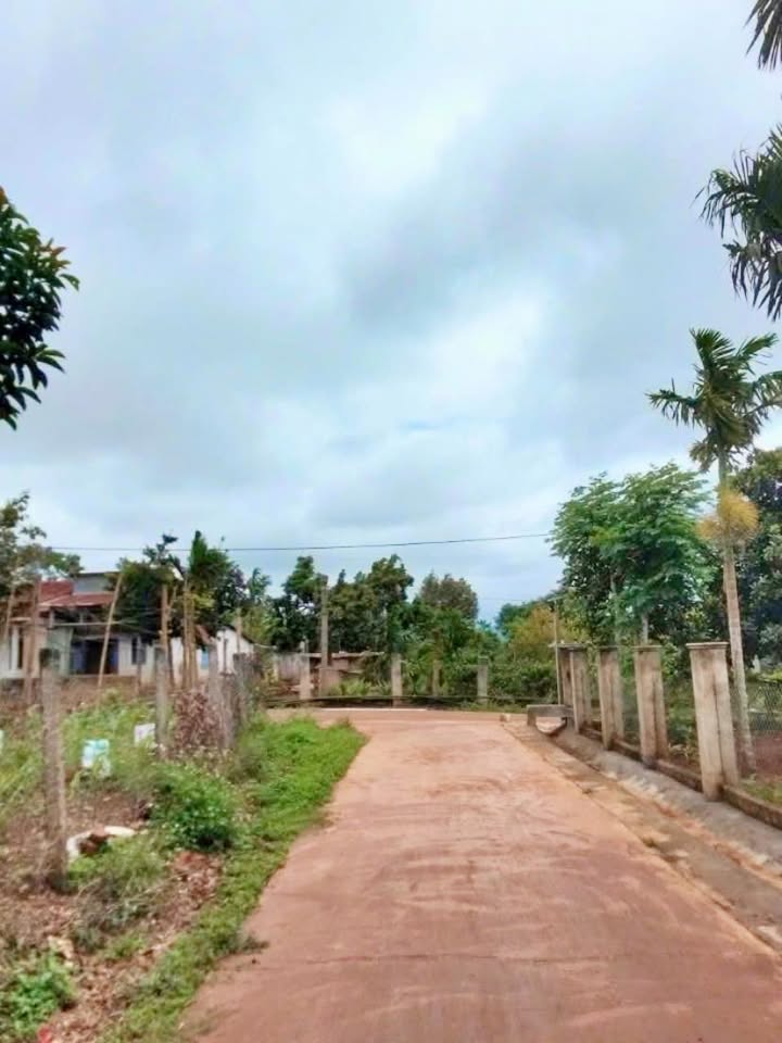 Đất nền Phú Xuân 186m² - Tiềm năng tăng giá vượt trội!