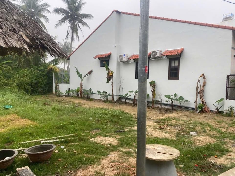 Đất Nền Cẩm Thanh Hội An 80m² - Giá Rẻ Nhất Khu Vực!