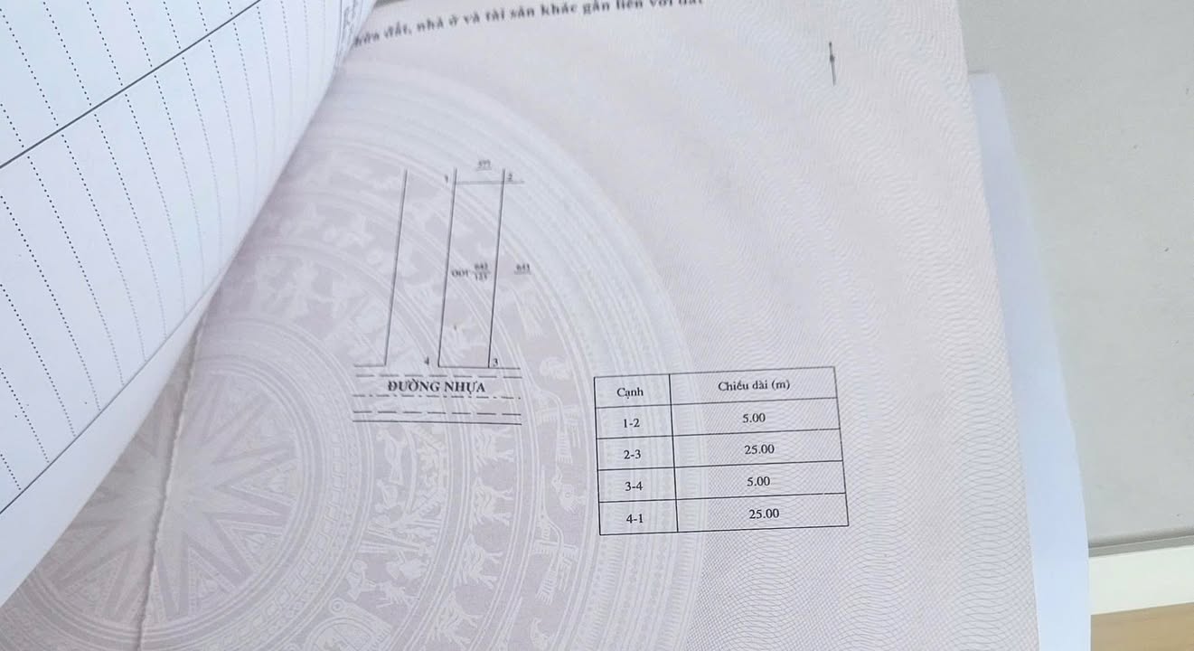 Đất Phú Mỹ Quảng Ngãi 125m² 2.3 tỷ - Sổ đỏ chính chủ