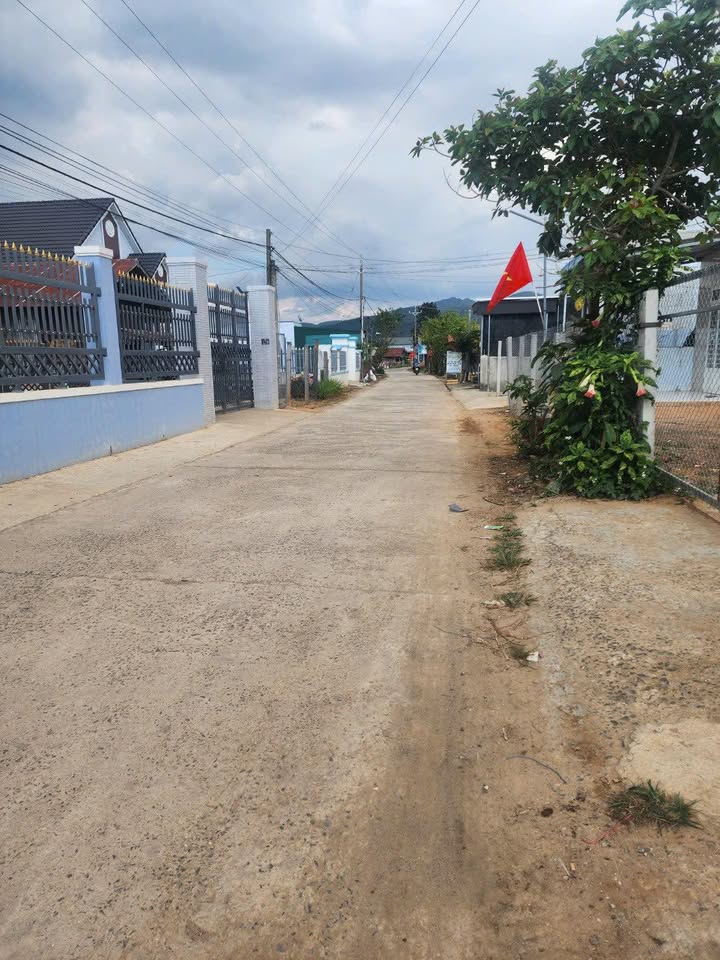 Đất Vàng Đức Trọng 324m² Đường Chính - Sẵn Sàng Đầu Tư, Kinh Doanh