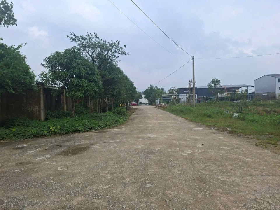 Đất nền Thạch Đài, Hà Tĩnh 199m² - Tiềm năng tăng giá vượt trội!