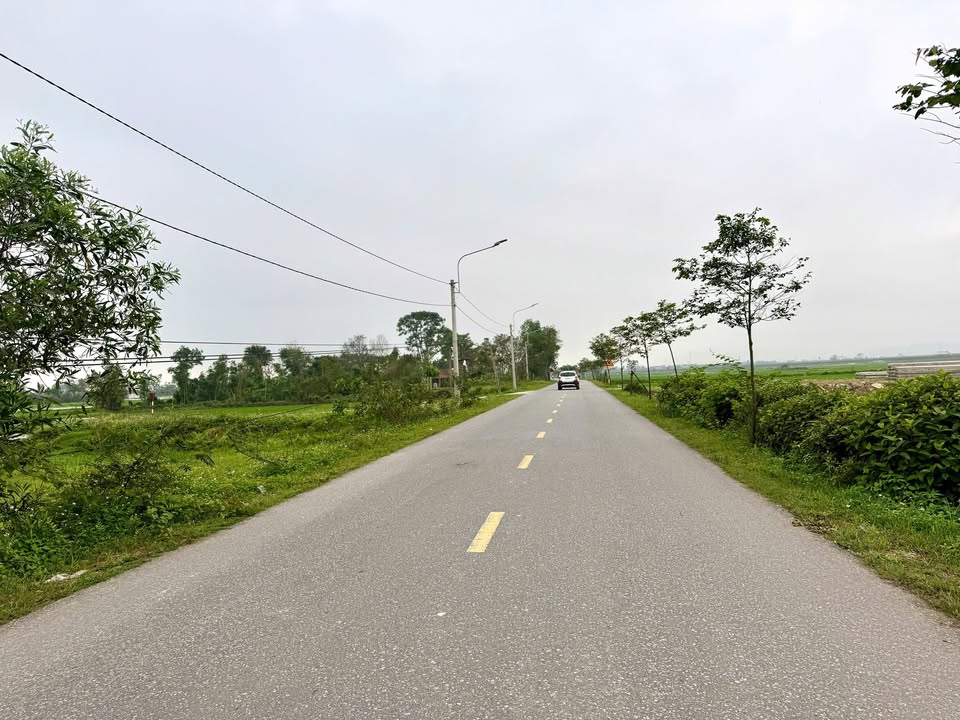 Đất nền Tân Lâm Hương 138.6m² - Đường thông 15m, tiềm năng tăng giá!