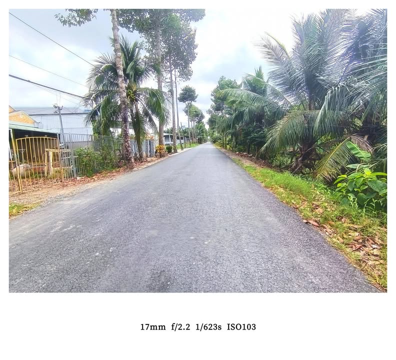 Bán Đất Mặt Tiền Trần Thị Thơm, Mỹ Tho - 124m² Thổ Cư, Giá 1.09 Tỷ