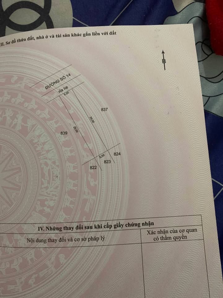 Đất Nền Mặt Tiền Đường 14, Cao Lãnh, Đồng Tháp - 125m² Giá 1.35 Tỷ