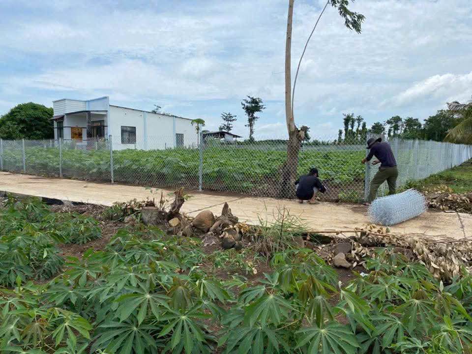 Bán Đất Xã Long Tân 1500m² Giá 1.6 Tỷ - Hạ Tầng Hoàn Thiện