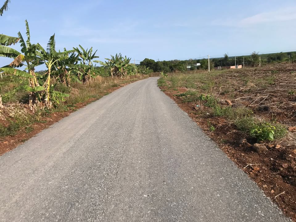 Đất nền Xã Đá Bạc, Châu Đức 1.2ha - 2 Mặt tiền, Sổ đỏ chính chủ