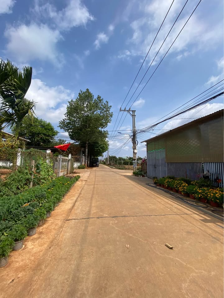 Đất Sổ Đỏ 96m² Hẻm 21 Nguyễn Tuân, Pleiku - Hướng Bắc Giá 820 Triệu