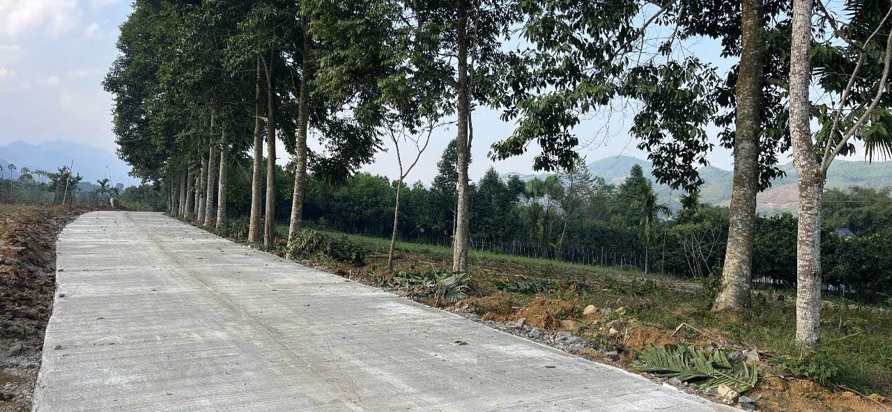 Đất nền Tân Lạc Hòa Bình 529m² - Tiềm năng tăng giá vượt trội!