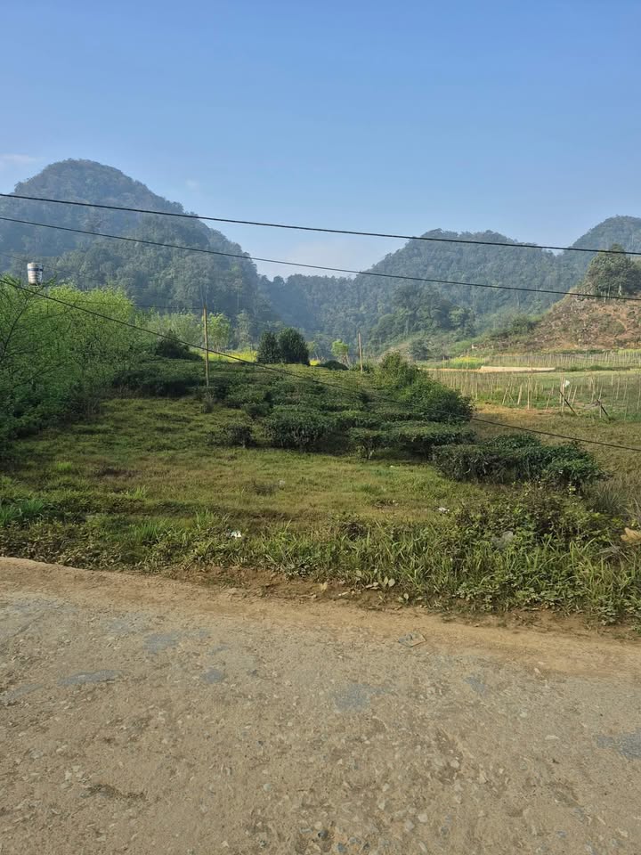 Bán Gấp Đất Vườn Pà Cò Mai Châu 1000m² - Giá Đầu Tư 700 Triệu