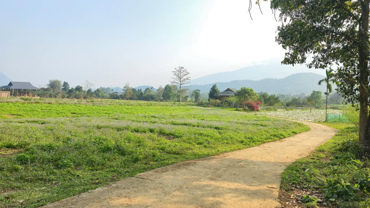 Đất nền Xã Phong Quang 1000m² giá 410 triệu - Xây dựng tự do!