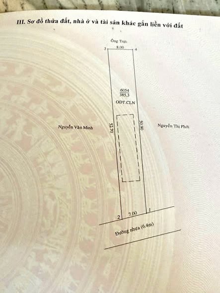 Bán Đất Nền Tương Bình Hiệp, Thủ Dầu Một - 364m² Sổ Đỏ, Mặt Tiền Nhựa Lớn