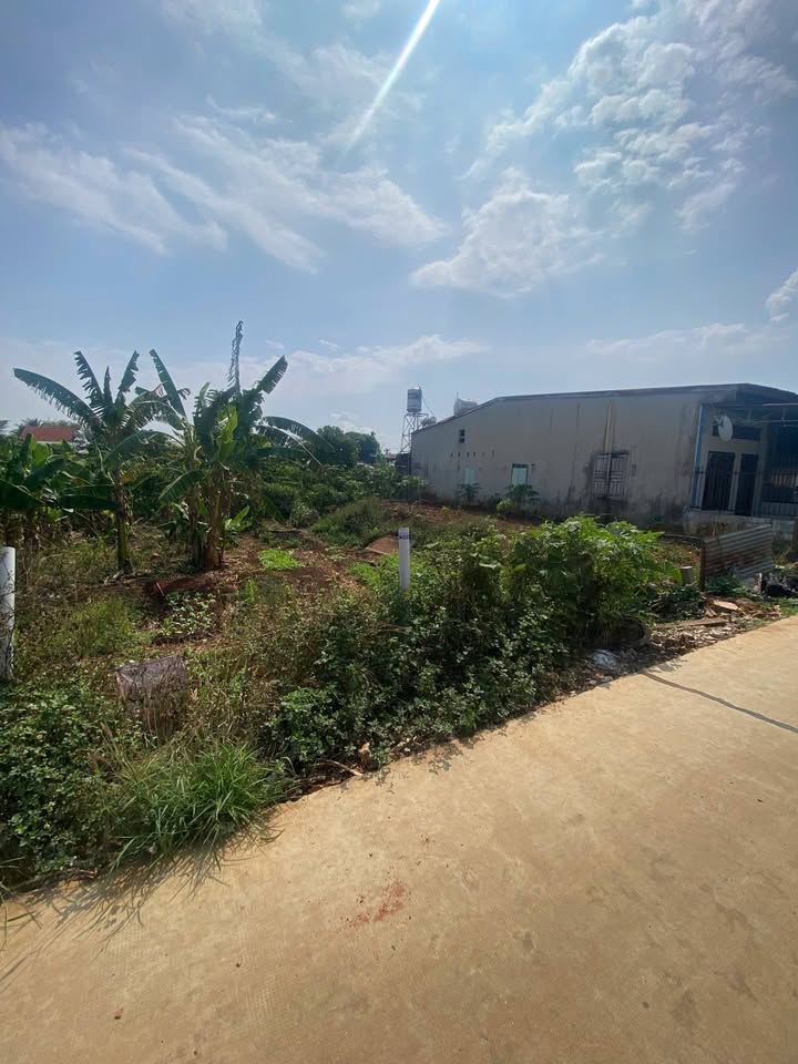 Bán đất Lữ Gia Pleiku 150m² - Hẻm ô tô, gần chợ - 2.29 tỷ