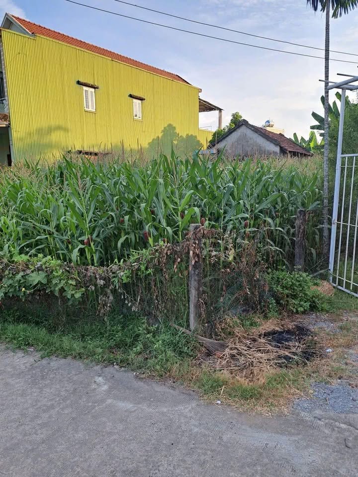 Đất nền 106m² Thị trấn La Hà, Tư Nghĩa - Giá 6xx Triệu, Sẵn Xây Nhà