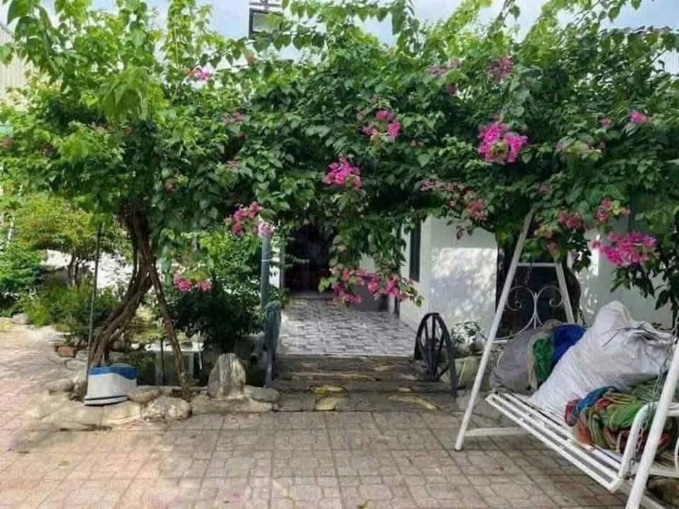 Nhà Vườn Cho Thuê 400m² Bến Cát, Bình Dương - 3PN, Sẵn Hồ Cá