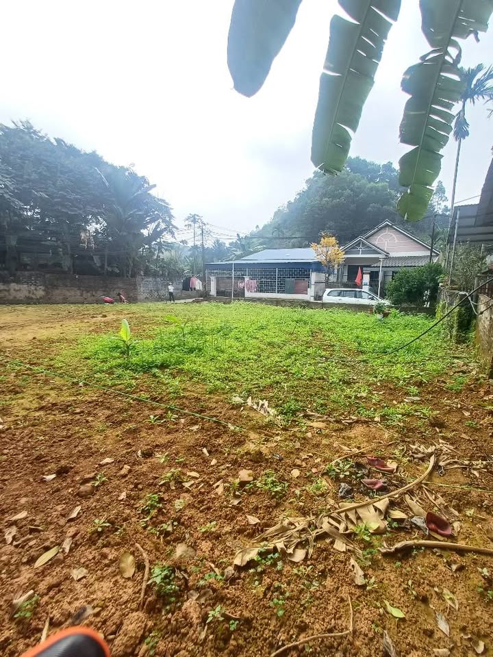 Đất nền Yên Ninh, TP. Yên Bái 205m² - Sổ đỏ chính chủ, ô tô tránh nhau!