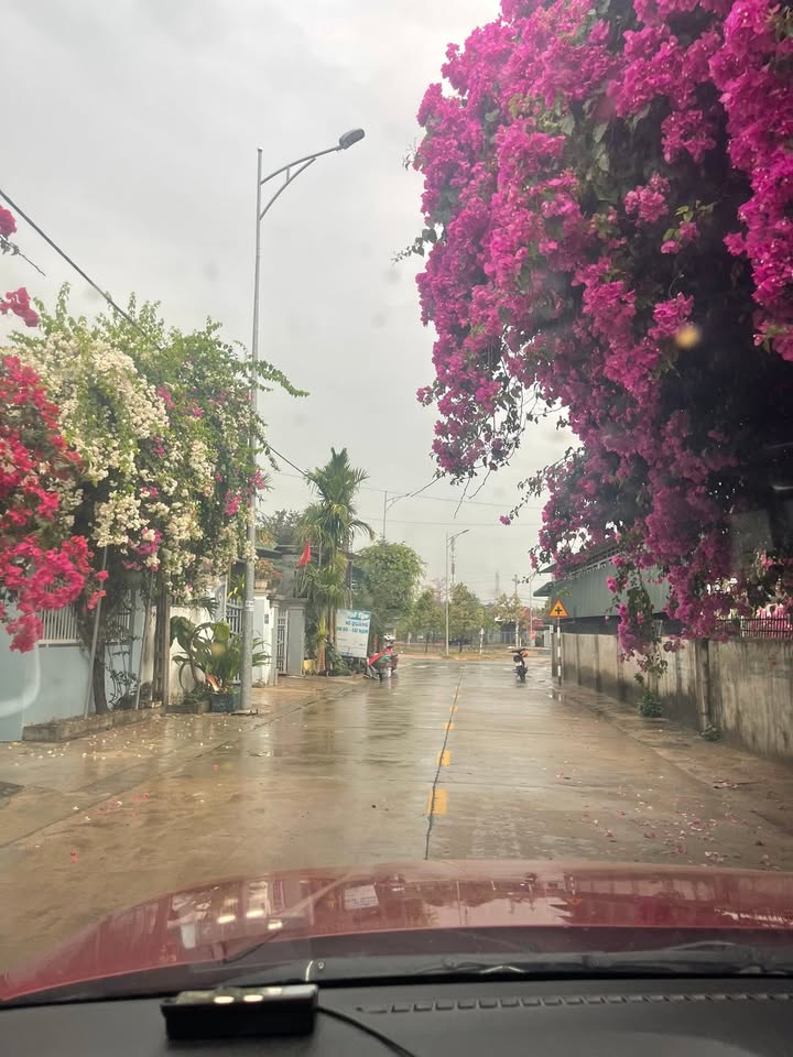 Đất nền Ea Lê Ea Súp 735m² 124.95 tỷ - Thổ cư ô tô