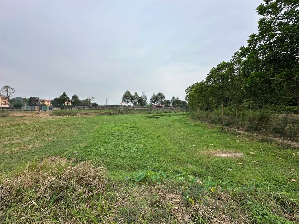 Đất nền Đại Từ 109m² - Sổ đỏ chính chủ, tiềm năng tăng giá!