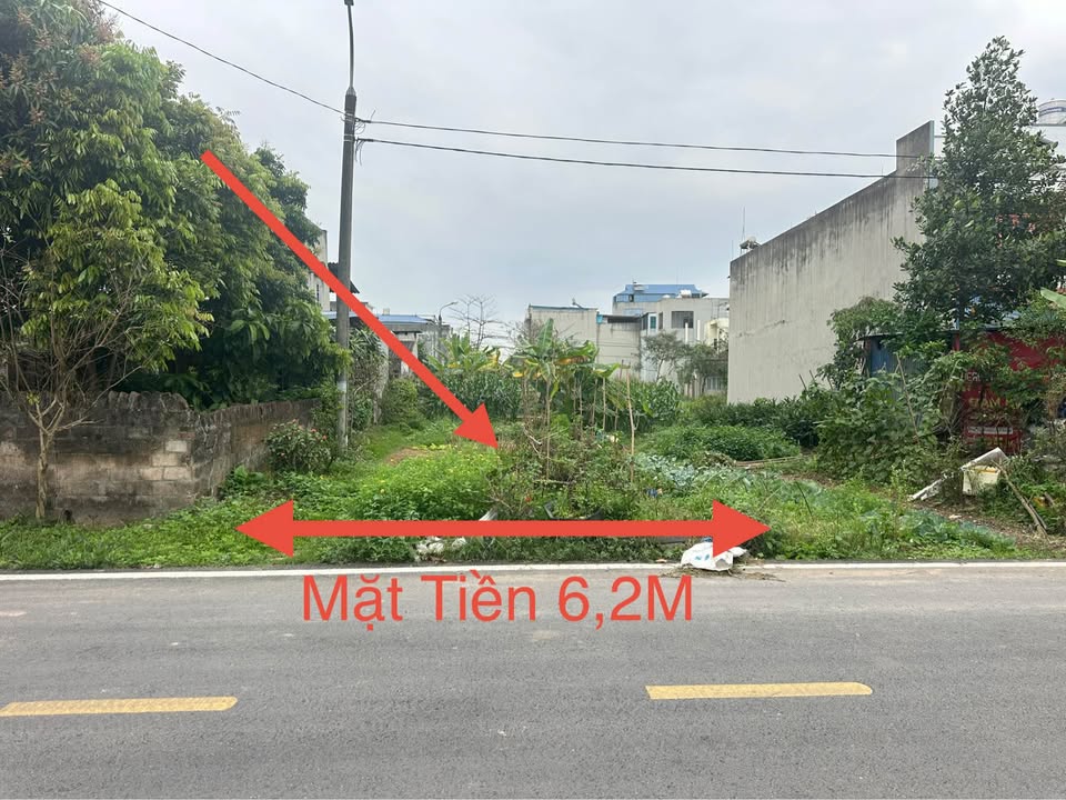 Đất nền Phố Tôn Thất Tùng Sông Công 124m² - Tiềm năng tăng giá vượt trội!