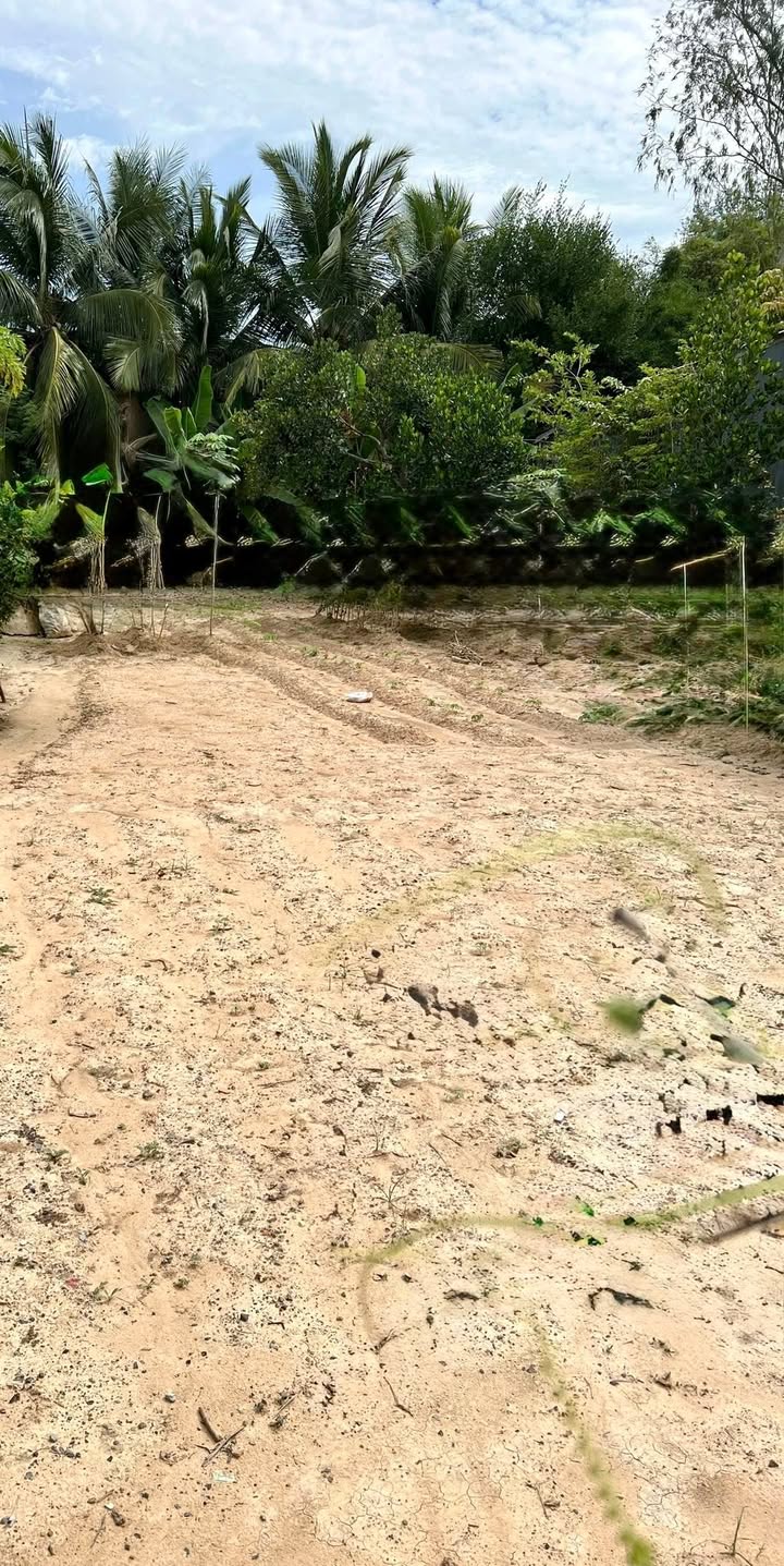 Đất nền thổ cư 160m² Tân Hộ Cơ, Đồng Tháp - Sổ hồng sẵn, giá 300 triệu