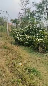 Đất Vườn Ea Siên 3800m² - 1.2 Tỷ - Nghỉ Dưỡng Lý Tưởng!