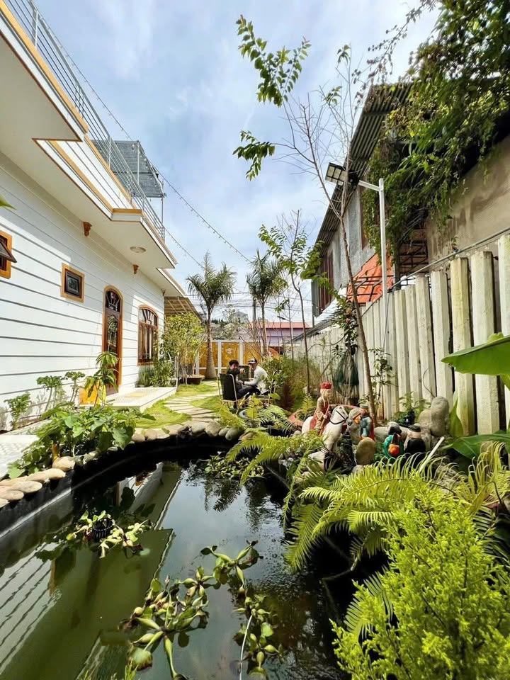 Biệt thự sân vườn Đường Vạn Kiếp, Đà Lạt 300m² - Sẵn sàng ở ngay!