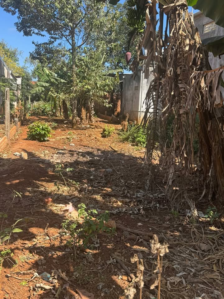 Bán Đất Nền Cư Huê, Ea Kar 300m² - Vị Trí Đẹp, Dân Đông