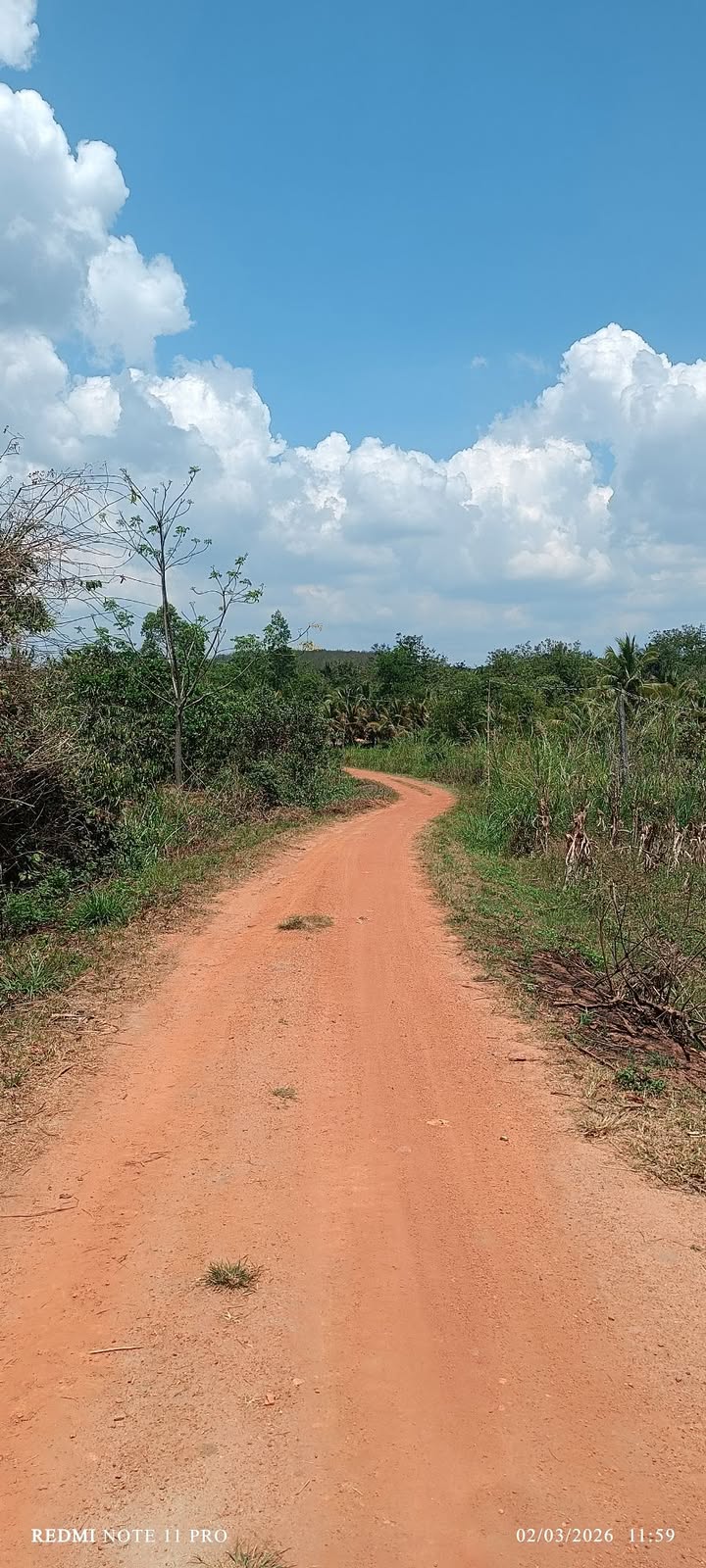 Bán Gấp Farm 12.400m² Đắk Lắk - 1000 Cây Cà Phê Kinh Doanh