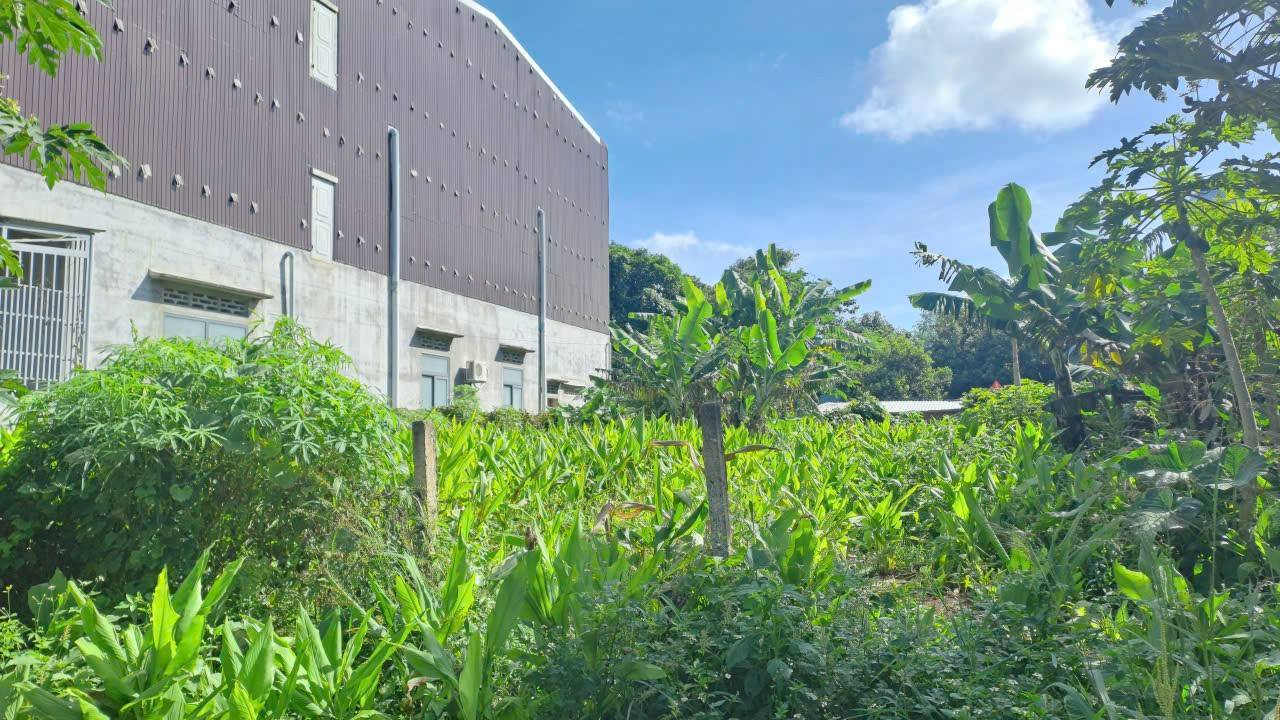 Đất Nền Ea Kar 150m² Hướng Tây - Sổ Hồng Sẵn Sàng