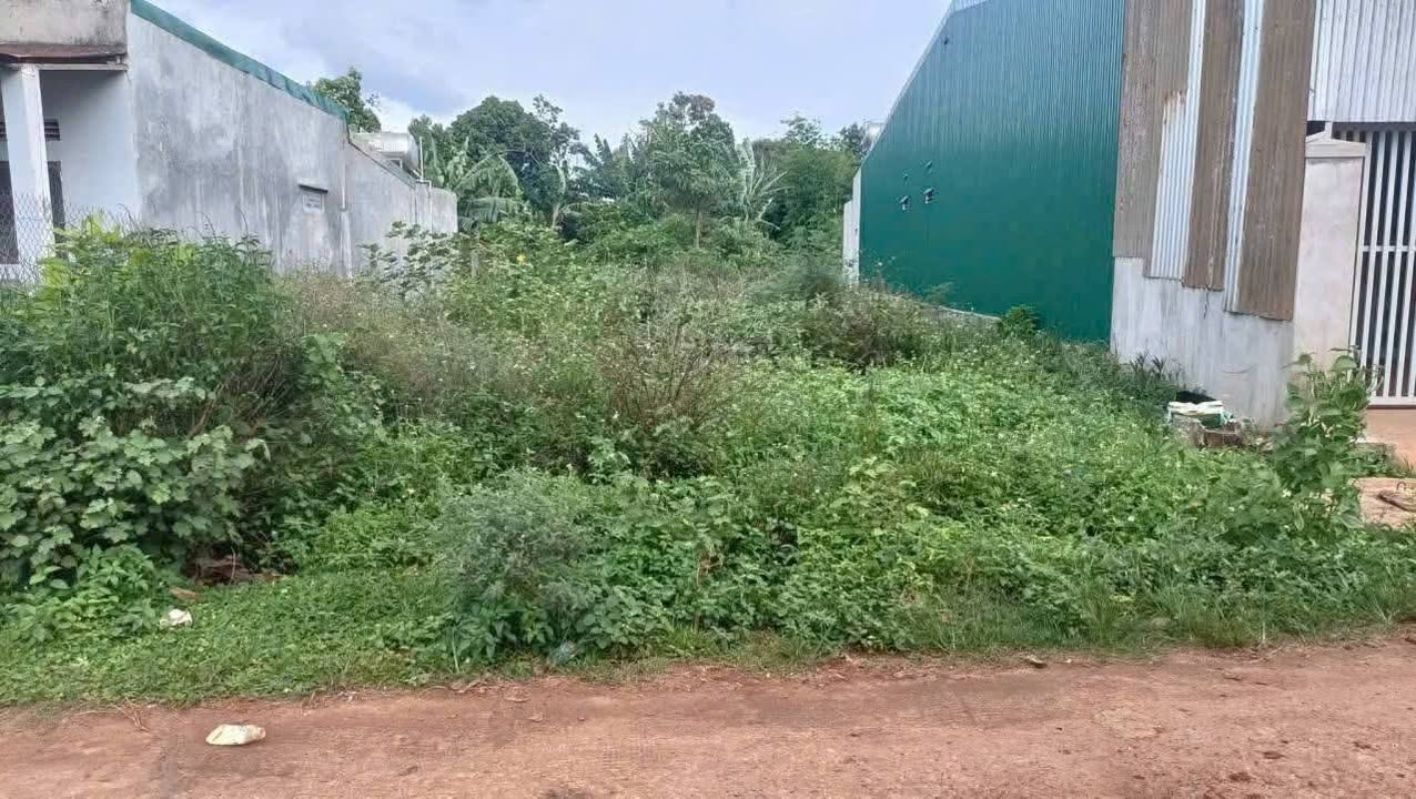 Đất Nền Ea Kar 75m² Sổ TC - Sẵn Sàng Xây Dựng, Gần Quốc Lộ 26